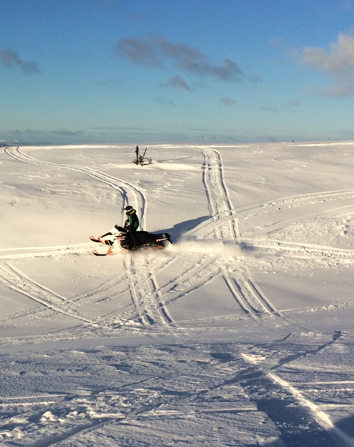 snöskoter lynx